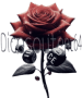 Dicesoutent64 Incorporate Limited